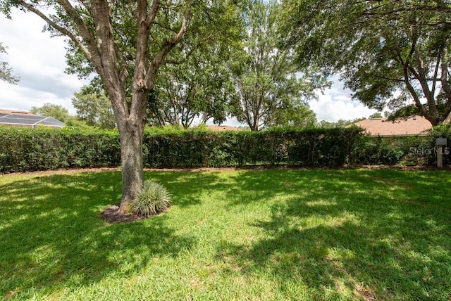4228 Silver Star Dr, Spring Hill, FL 34609 - view of yard