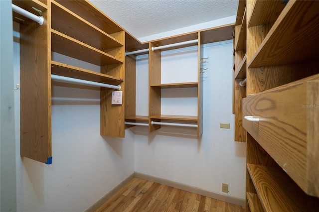 4783 Palermo Ct NE, Saint Petersburg, FL 33703 - walk in closet with wood finished floors