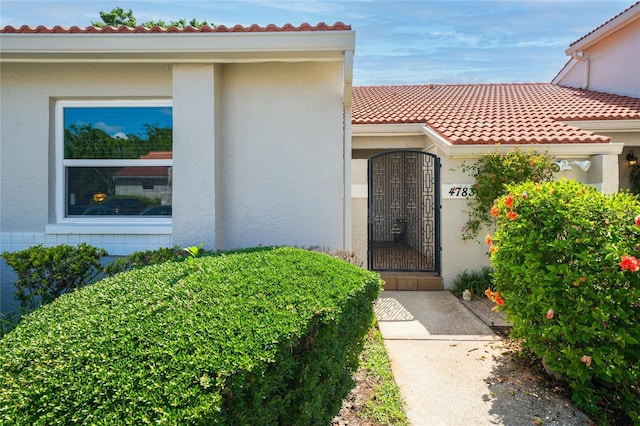 4783 Palermo Ct NE, Saint Petersburg, FL 33703 - entrance to property featuring stucco siding and a tile roof