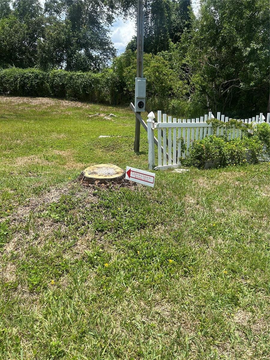 7736 Amherst St, Tampa, FL 33625