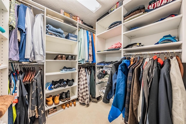 9806 Bennington Dr, Tampa, FL 33626 - spacious closet with carpet floors
