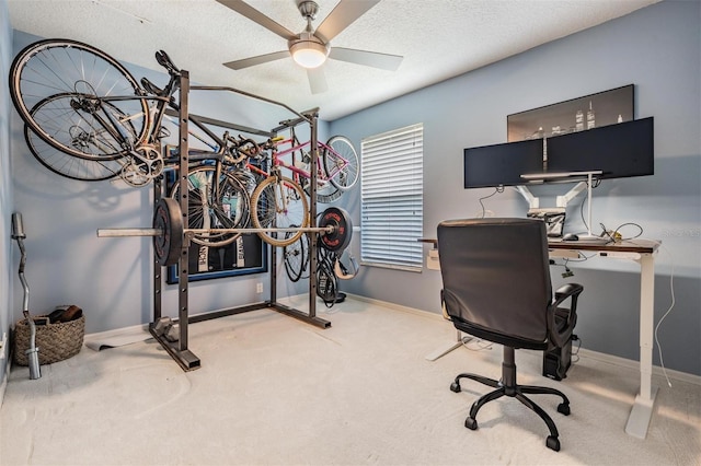9806 Bennington Dr, Tampa, FL 33626 - carpeted office with a ceiling fan, baseboards, and a textured ceiling