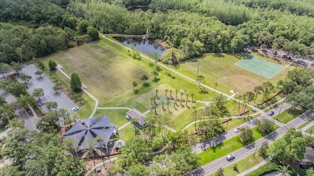 9806 Bennington Dr, Tampa, FL 33626 - drone / aerial view of a forest