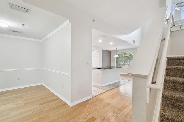 119 Beach Haven Ln, Tampa, FL 33609 - photo 12