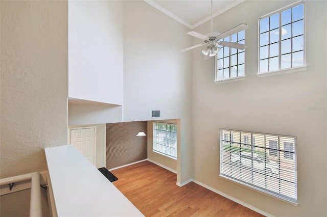 119 Beach Haven Ln, Tampa, FL 33609 - photo 20