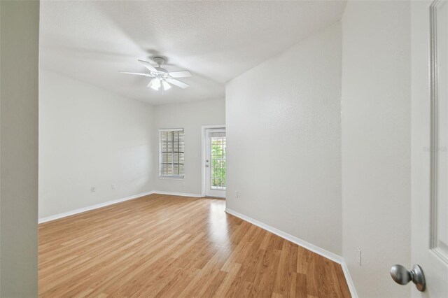 119 Beach Haven Ln, Tampa, FL 33609 - photo 35