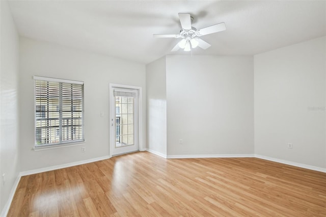 119 Beach Haven Ln, Tampa, FL 33609 - photo 36