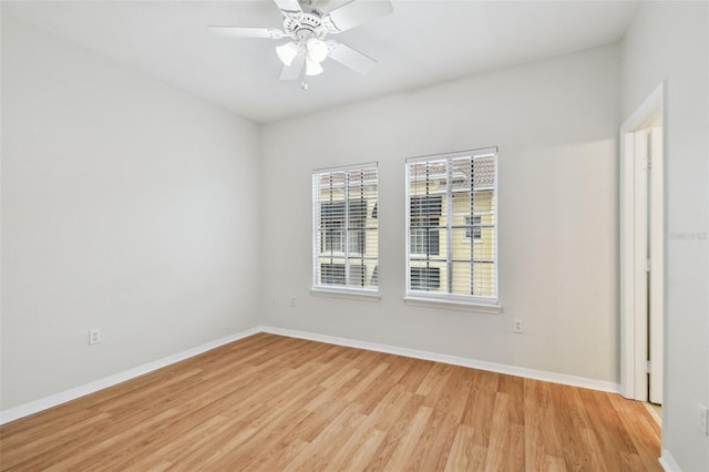 119 Beach Haven Ln, Tampa, FL 33609 - photo 48