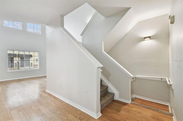 119 Beach Haven Ln, Tampa, FL 33609 - photo 24