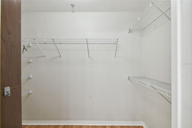 119 Beach Haven Ln, Tampa, FL 33609 - photo 44