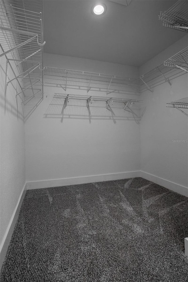 8335 42nd Ave N, Saint Petersburg, FL 33709 - photo 23