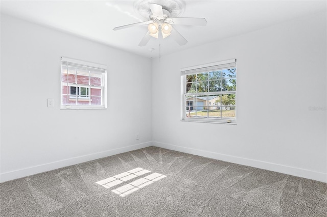 8335 42nd Ave N, Saint Petersburg, FL 33709 - photo 27