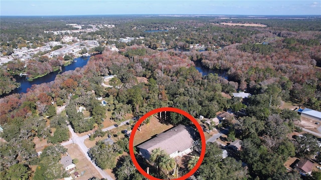 1585 W J Williams Ln, Dunnellon, FL 34434 - aerial view of property and surrounding area featuring a forest and a large body of water
