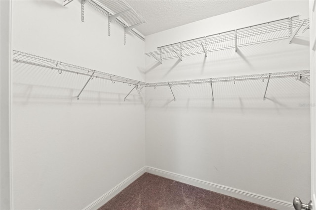18620 Rococo Rd, Spring Hill, FL 34610 - walk in closet with dark carpet
