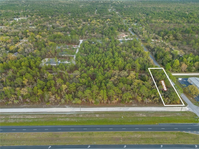 17416 Nicasio Jay Ave, Weeki Wachee, FL 34614