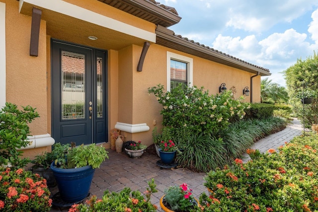 11551 Callisia Dr, Odessa, FL 33556 - photo 4
