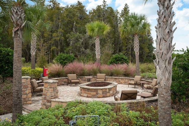 11551 Callisia Dr, Odessa, FL 33556 - photo 35