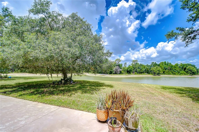 4227 Bethpage Ct, Wesley Chapel, FL 33543 - view of grassy yard featuring a water view