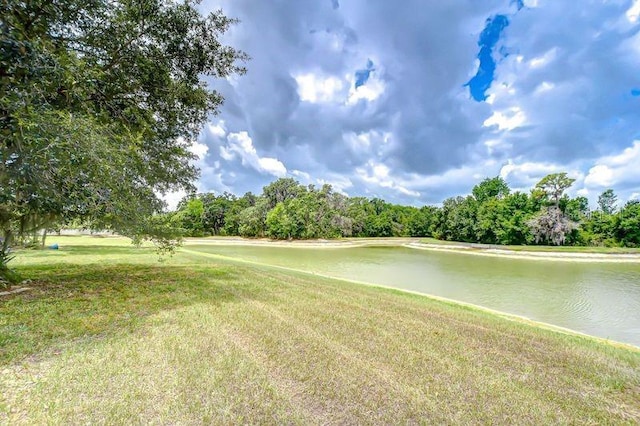 4227 Bethpage Ct, Wesley Chapel, FL 33543 - surrounding community with a lawn, a water view, and view of scattered trees