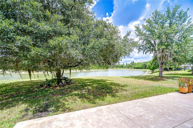 4227 Bethpage Ct, Wesley Chapel, FL 33543 - view of grassy yard with a water view