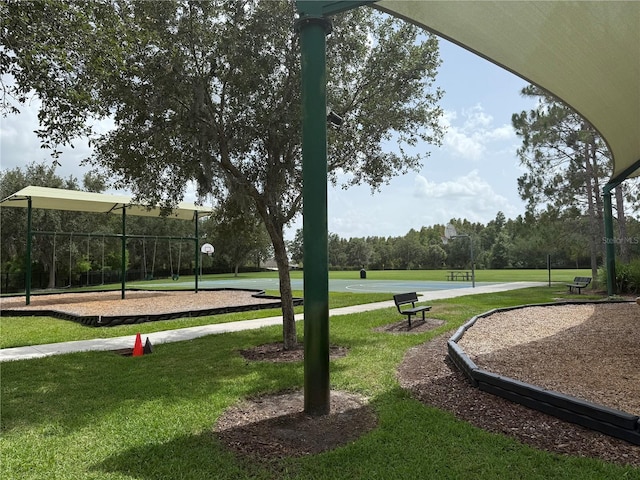 4227 Bethpage Ct, Wesley Chapel, FL 33543 - surrounding community with a lawn and community basketball court