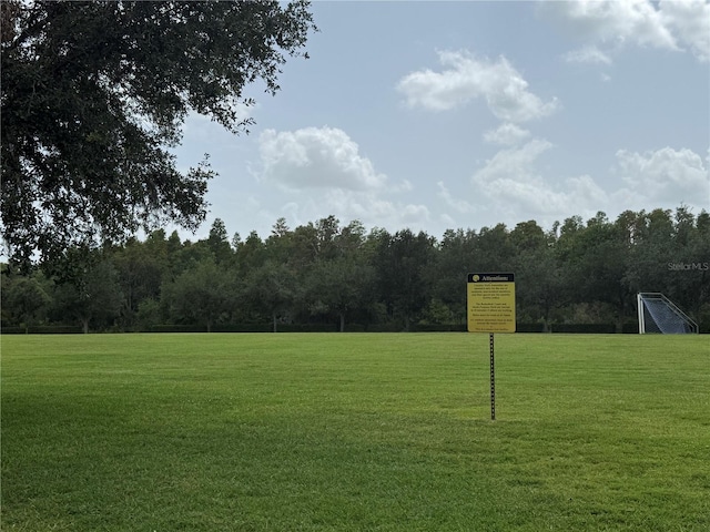 4227 Bethpage Ct, Wesley Chapel, FL 33543 - surrounding community with an area for sports