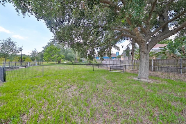 7114 Cromwell Park Ln, Apollo Beach, FL 33572 - view of yard