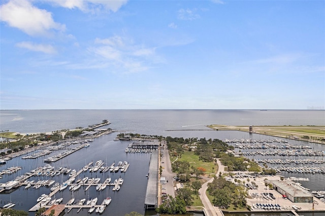 1 Beach Dr SE Unit 2011, Saint Petersburg, FL 33701 - bird's eye view of numerous boat docks and a nearby body of water