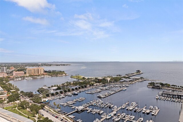 1 Beach Dr SE Unit 2011, Saint Petersburg, FL 33701 - view of urban area with numerous boat docks and a large body of water
