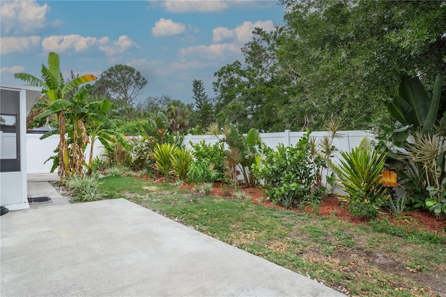 7503 Winchester Dr, Tampa, FL 33615 - fenced backyard with a patio area