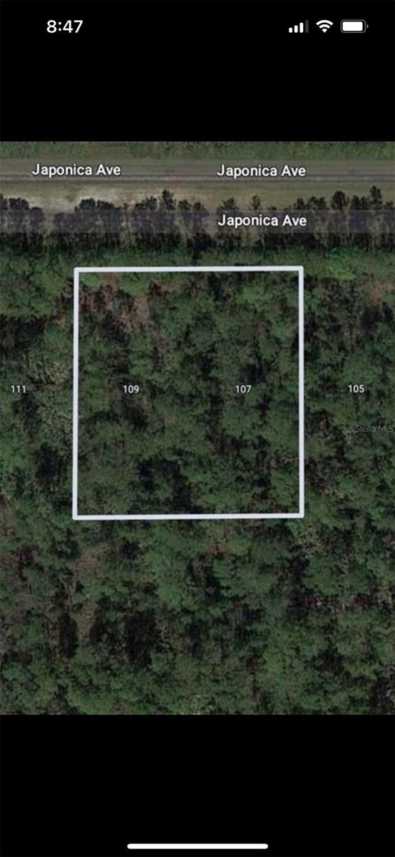 109 Japonica Ave, Indian Lake Estates, FL 33855 - photo 1