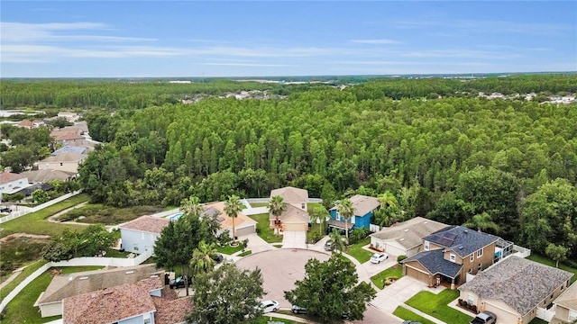 3305 Hoylake Ct, Land O Lakes, FL 34638 - aerial perspective of suburban area with a heavily wooded area
