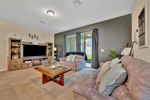 3320 Pleasant Willow Ct, Brandon, FL 33511 - living area with carpet floors and a textured ceiling