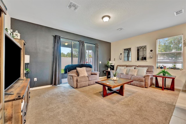 3320 Pleasant Willow Ct, Brandon, FL 33511 - living area with healthy amount of natural light, baseboards, and a textured ceiling