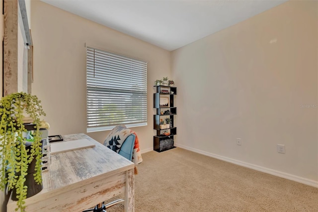3320 Pleasant Willow Ct, Brandon, FL 33511 - office featuring carpet and baseboards