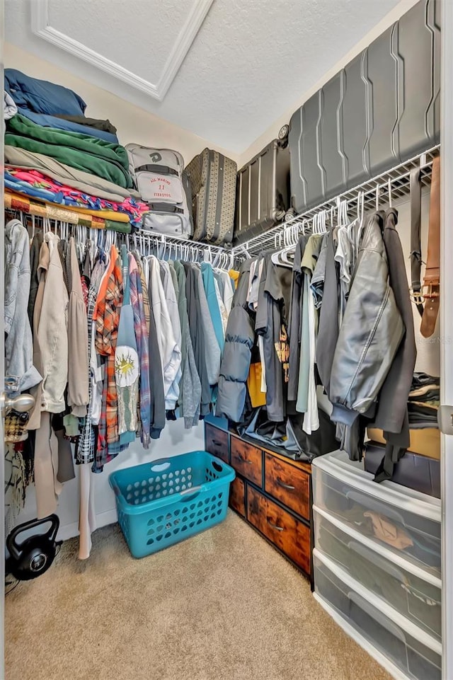 3320 Pleasant Willow Ct, Brandon, FL 33511 - spacious closet featuring carpet flooring
