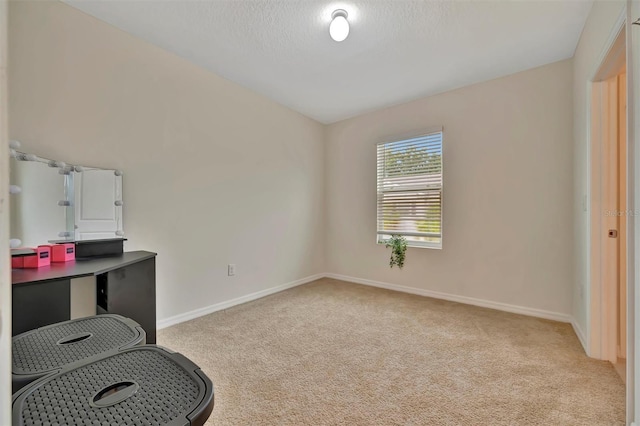 3320 Pleasant Willow Ct, Brandon, FL 33511 - unfurnished bedroom with carpet flooring, baseboards, and a textured ceiling