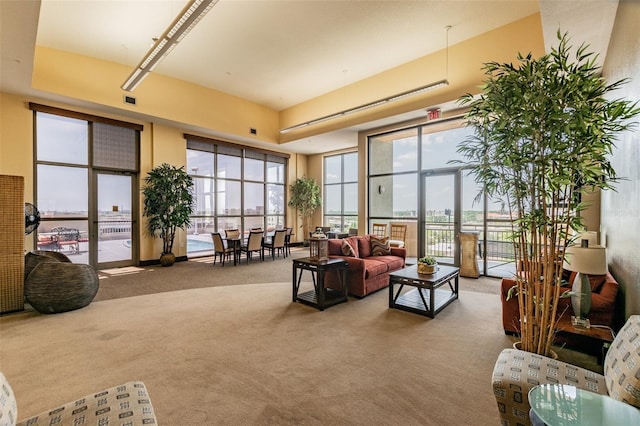 1108 N Franklin St Unit 502, Tampa, FL 33602 - living room featuring carpet floors and healthy amount of natural light