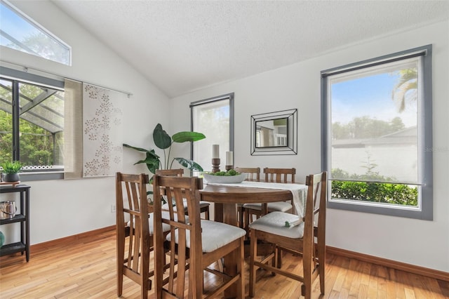 18914 Geraci Rd, Lutz, FL 33548 - dining room featuring vaulted ceiling, light wood-style floors, healthy amount of natural light, and a textured ceiling