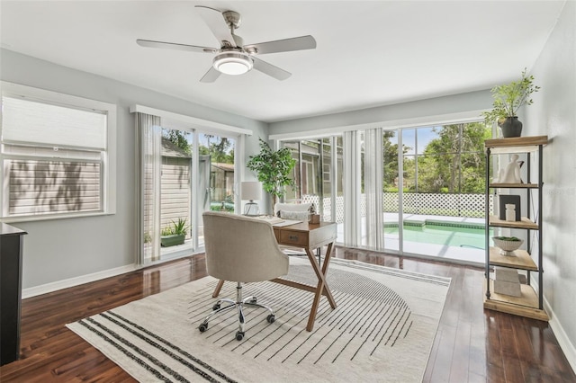 18914 Geraci Rd, Lutz, FL 33548 - home office with dark wood-style floors and ceiling fan