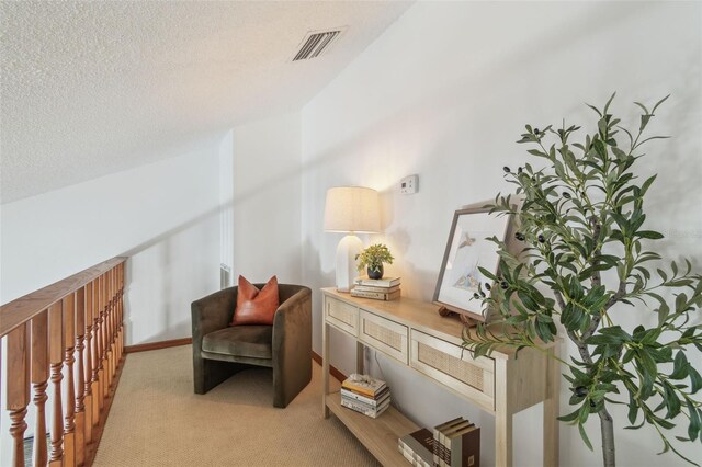 18914 Geraci Rd, Lutz, FL 33548 - living area featuring light carpet and a textured ceiling