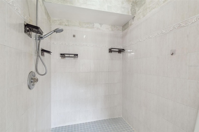 18914 Geraci Rd, Lutz, FL 33548 - bathroom featuring tiled shower
