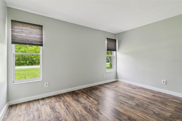 18914 Geraci Rd, Lutz, FL 33548 - empty room with wood finished floors and a textured ceiling