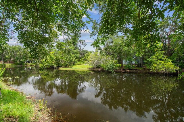 18914 Geraci Rd, Lutz, FL 33548 - water view