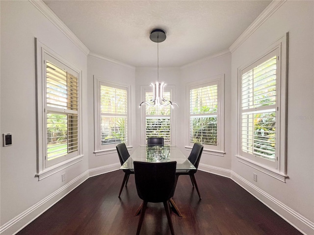 4313 W Vasconia St, Tampa, FL 33629 - photo 16