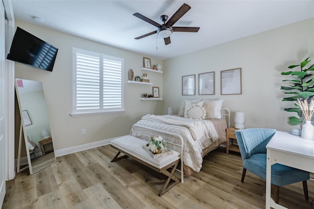 2388 Oakwood Preserve Dr, Wesley Chapel, FL 33543 - photo 64
