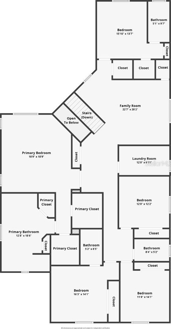 2388 Oakwood Preserve Dr, Wesley Chapel, FL 33543 - photo 88