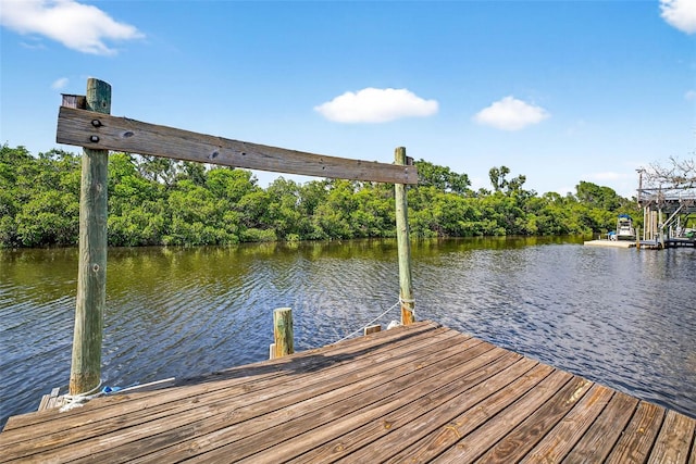 3225 W Shell Point Rd, Ruskin, FL 33570 - photo 62