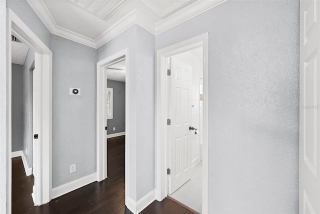 3906 W Rogers Ave, Tampa, FL 33611 - hallway featuring ornamental molding, dark wood-style flooring, and baseboards