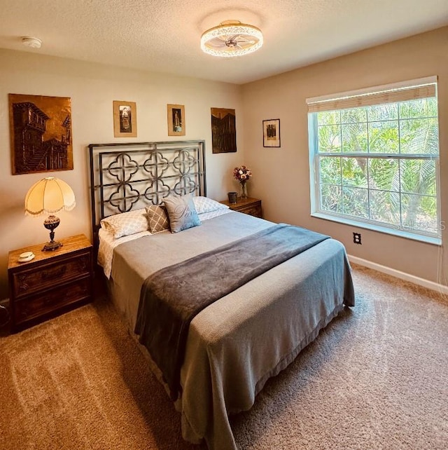 5103 98th Ave E, Parrish, FL 34219 - bedroom featuring carpet floors, baseboards, and a textured ceiling